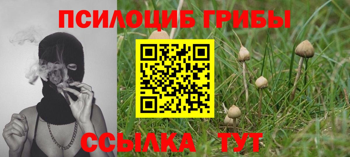 Галлюциногенные грибы ЛСД  Галлюциногенные грибы мухоморы  Междуреченск  Вход с VPN 